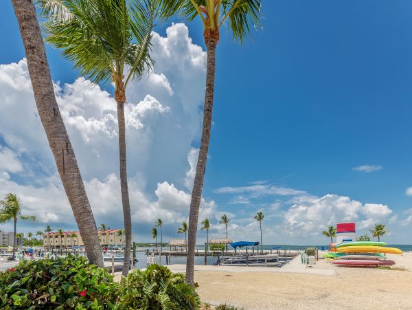 The Florida Keys Home 971608