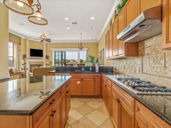 Orlando Home 971639