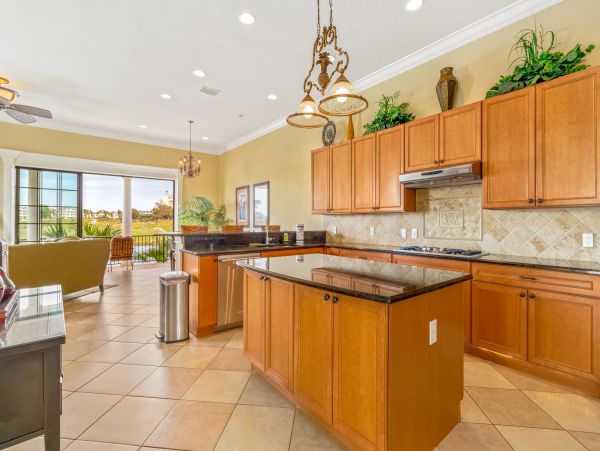Orlando Home 971639