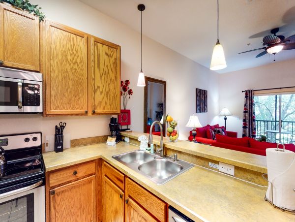 Orlando Condo 971641