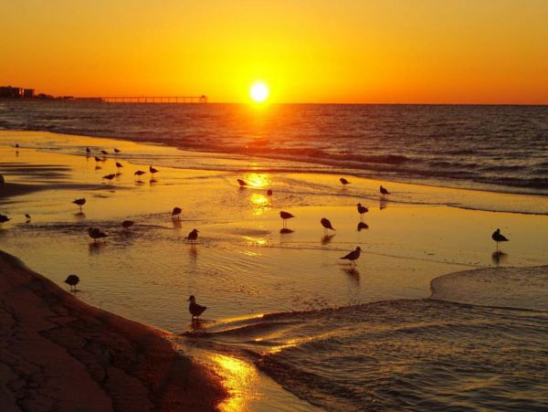 Destin Condo 971684