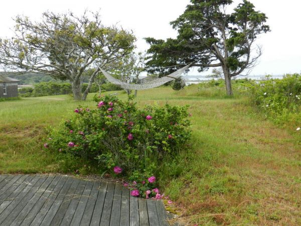 Bayview Chappaquiddik Cape Cod Vacation Home + Guest House