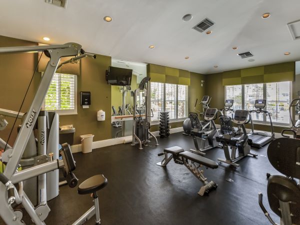 Naples Condo 971716