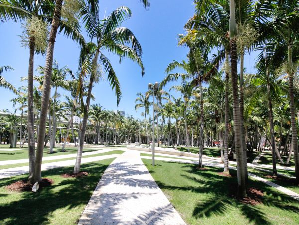 Miami Beach Condo 971764