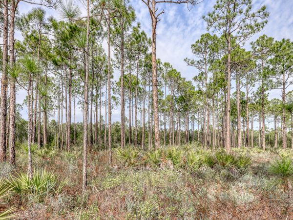 Beaches Of South Walton Home 971773