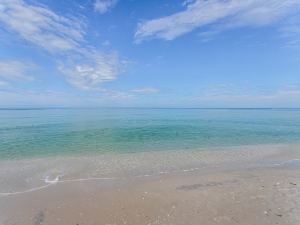 Naples Condo 971832