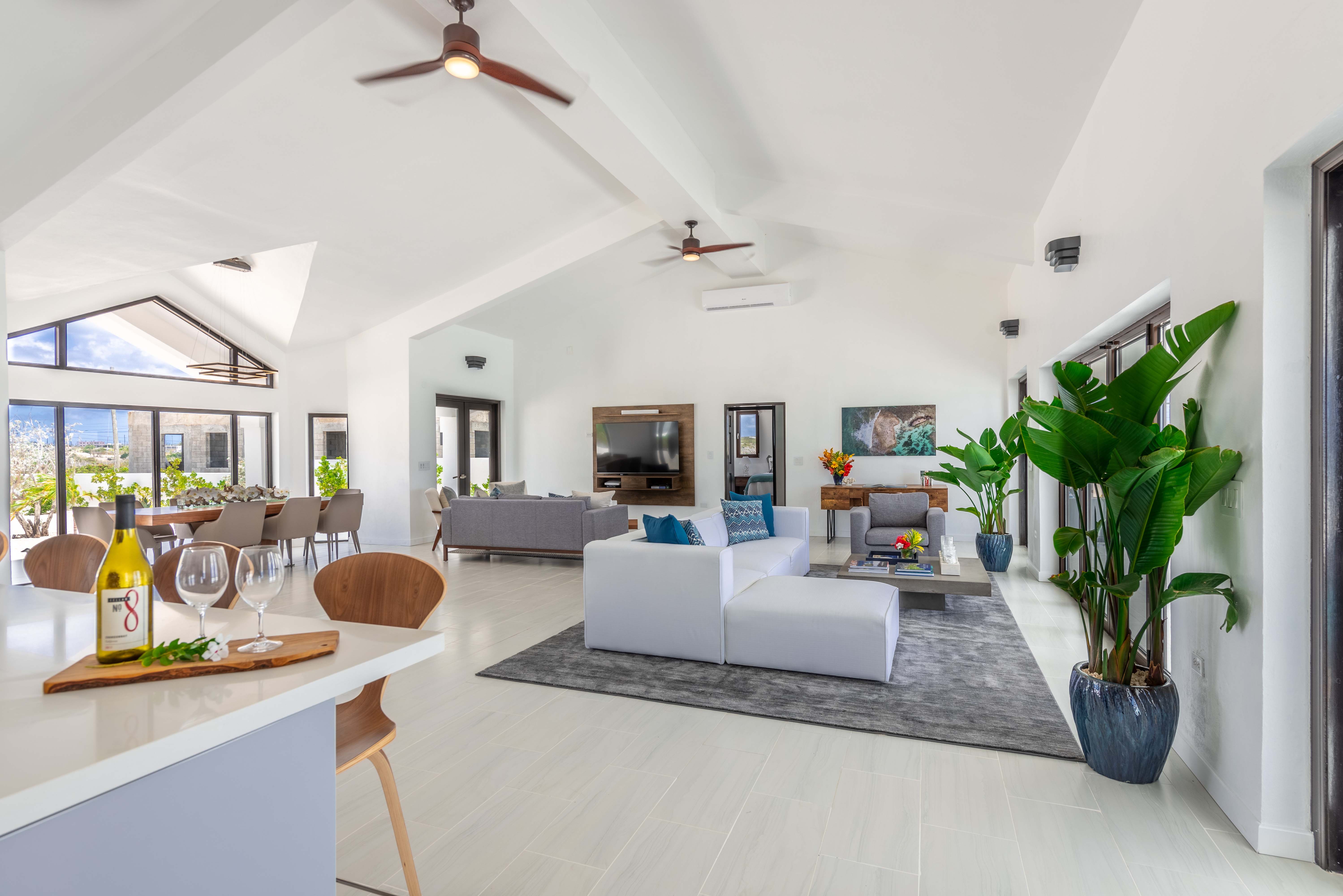 Anguilla Home 971851