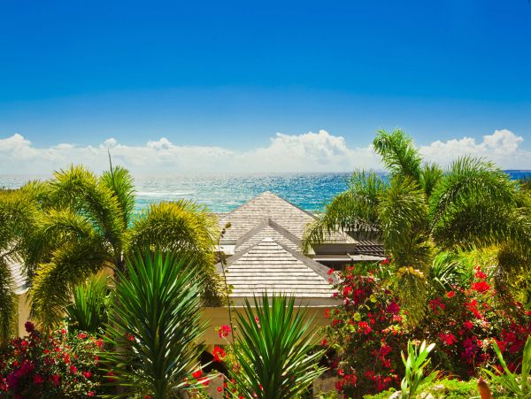 Anguilla Home 971852