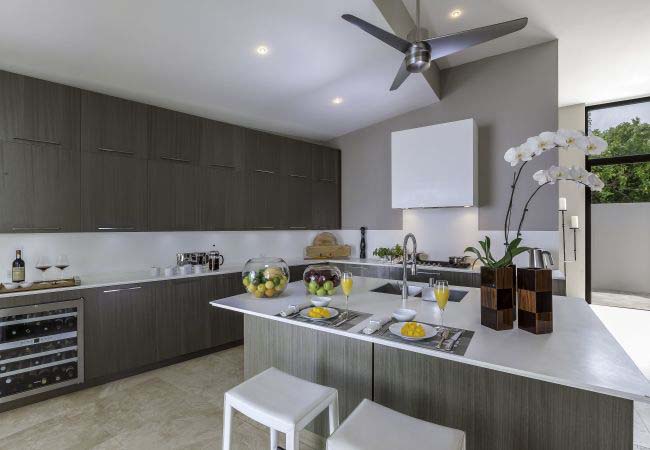 Anguilla Home 971853