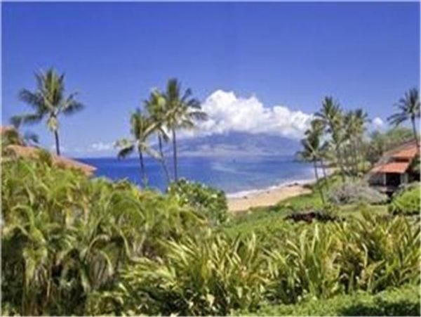 Wailea Condo 972121