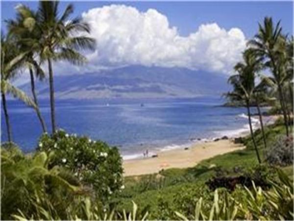 Wailea Condo 972121