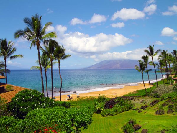 Wailea Condo 972125