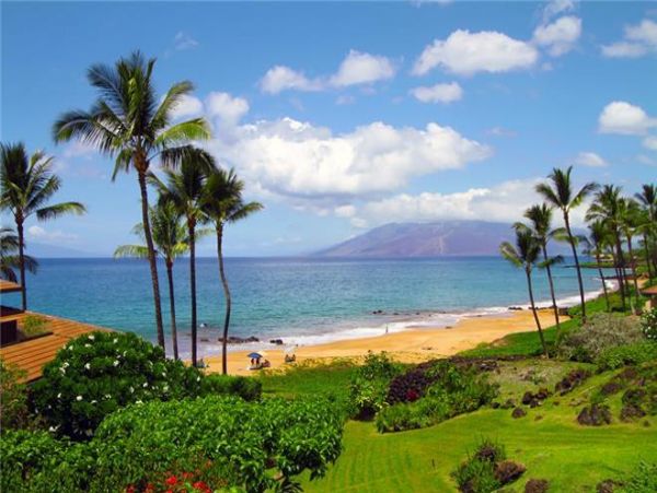 Wailea Condo 972125