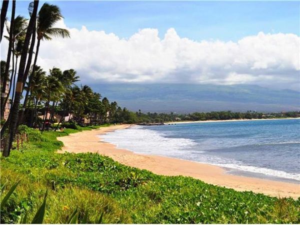 Kihei Condo 972161