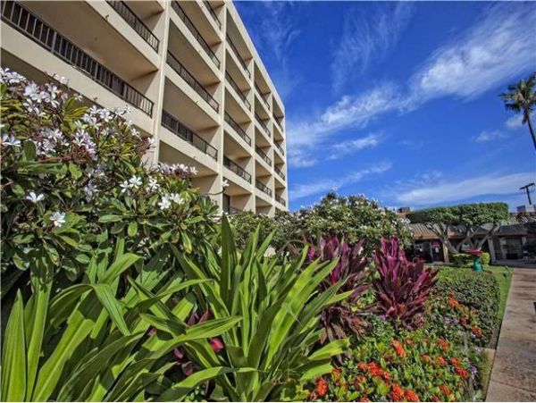 Kihei Vacation Condo One Bedroom
