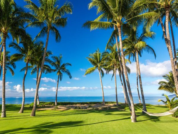 Kihei Home 972234