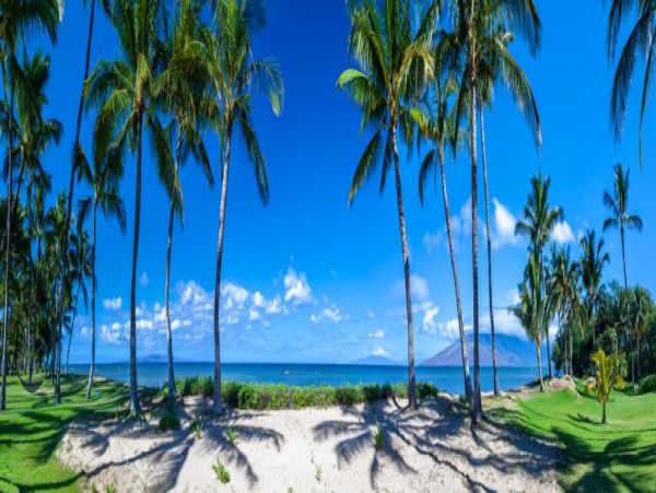 Kihei Home 972234