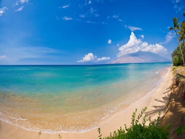 Kihei Home 972234