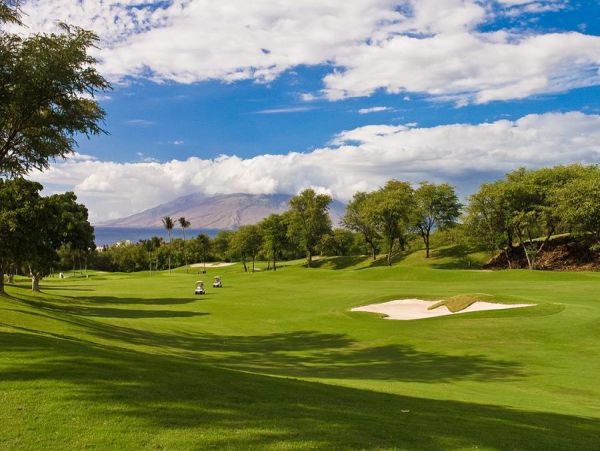 Wailea Condo 972236