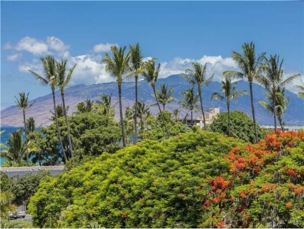 Wailea Condo 972237