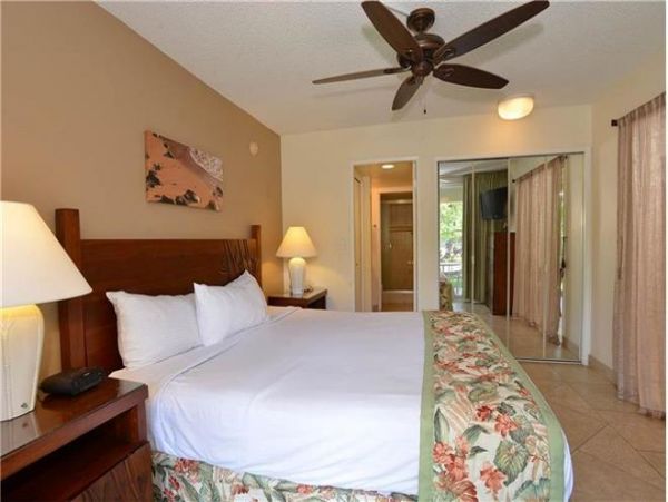 Wailea Condo 972254