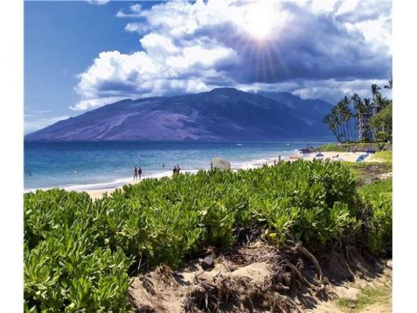 Wailea Condo 972257