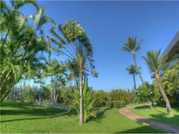 Wailea Condo 972257