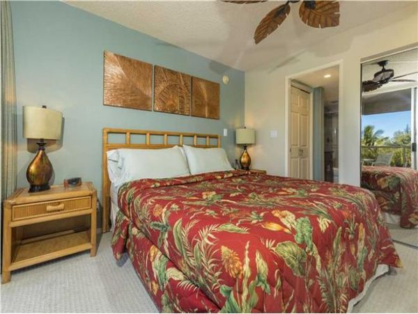 Wailea Condo 972261