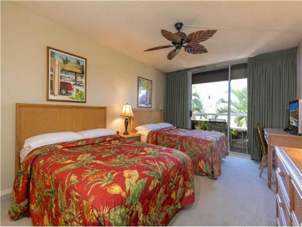 Wailea Condo 972261