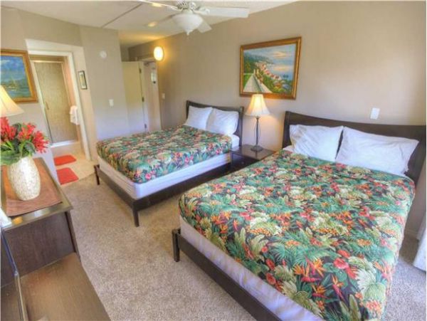 Wailea Condo 972264