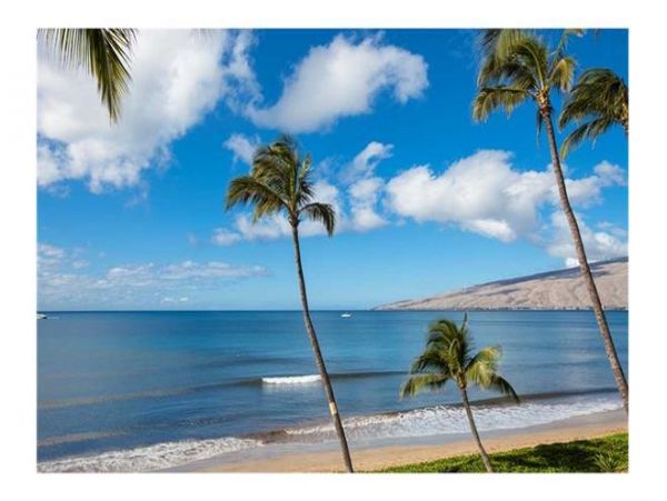 Kihei Condo 972271