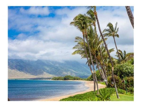 Kihei Condo 972271