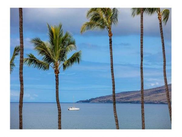 Kihei Condo 972271