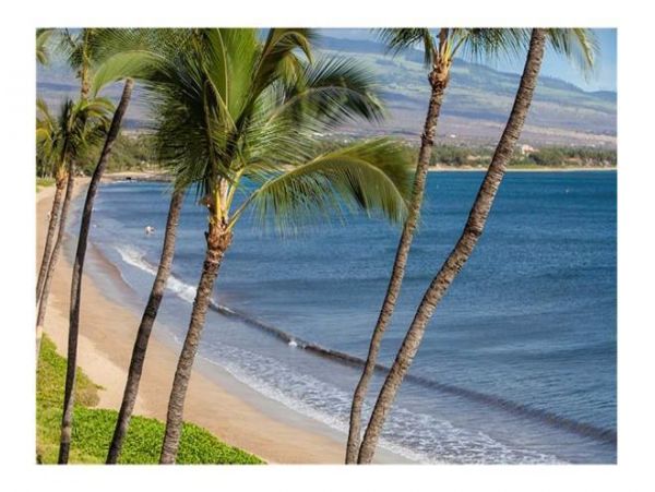 Kihei Condo 972271