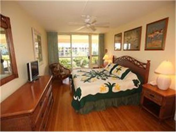 Wailea Condo 972273