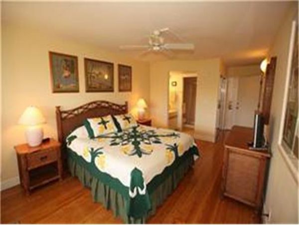 Wailea Condo 972273