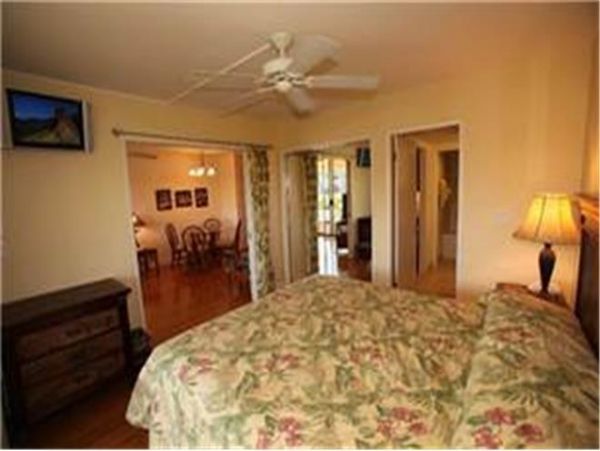 Wailea Condo 972273