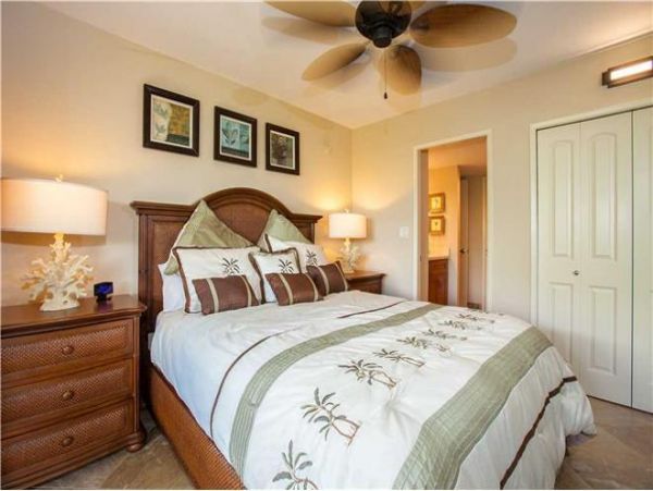 Wailea Condo 972278
