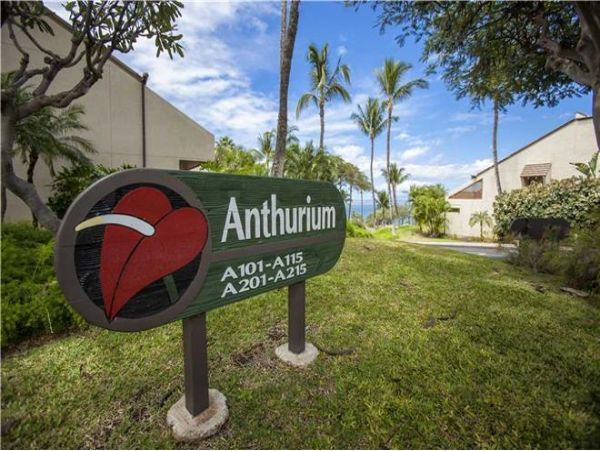 Wailea Condo 972283
