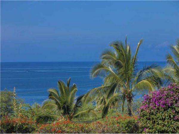 Wailea Condo 972288