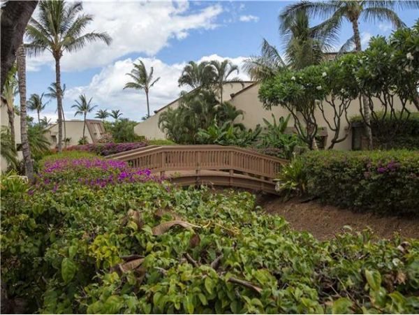 Wailea Condo 972288