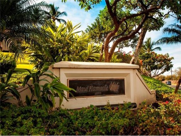 Wailea Condo 972293