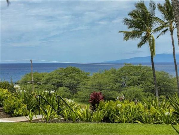 Wailea Condo 972299