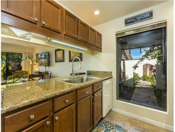 Wailea Condo 972302