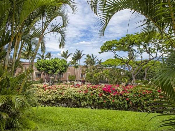 Wailea Condo 972306
