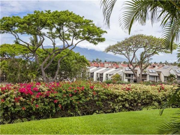Wailea Condo 972306