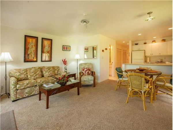 Wailea Condo 972308