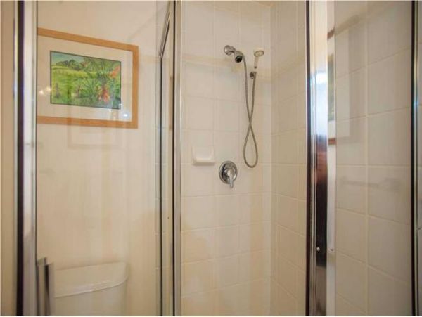 Wailea Condo 972308