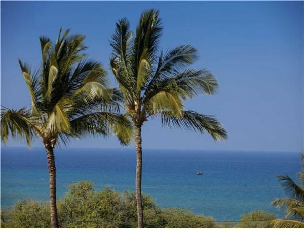 Wailea Condo 972308