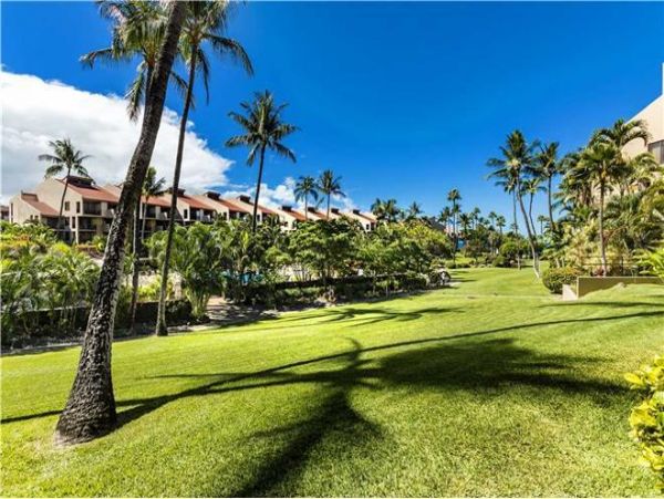 Wailea Condo 972332